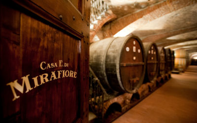 Winery Stories – Casa E. di. Mirafiore