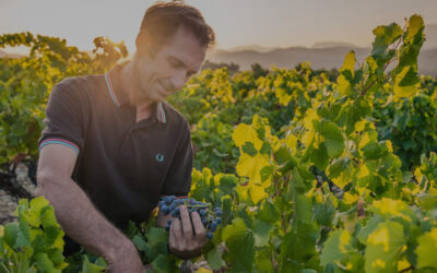 5 Generations in the Village of Valreas – Domaine Grande Bellane