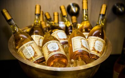 Chateau Pajzos and Tokaji, the National Treasure of Hungary