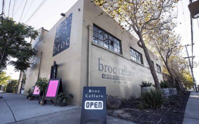 Broc Cellars – California’s champion of unorthodox and natural wines