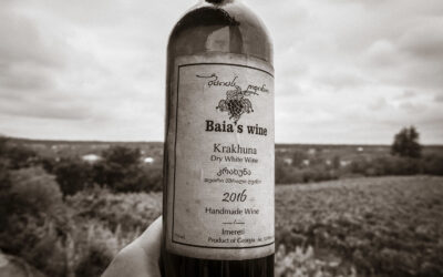 Baia’s Vineyard in the Secret Birthplace of Wine – Georgia