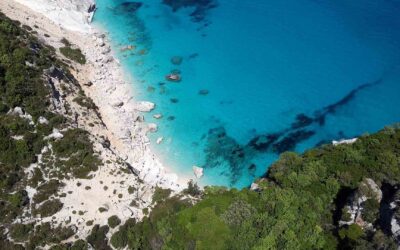 Sella & Mosca – An Adventure to the Spectacular Island of Sardinia