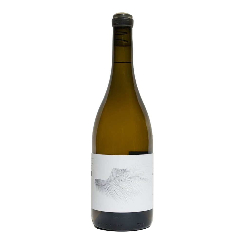 Broc Cellars Michael Mara Chardonnay 2020 - TWDC | The Wine Distribution Co