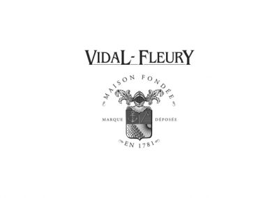 Vidal Fleury