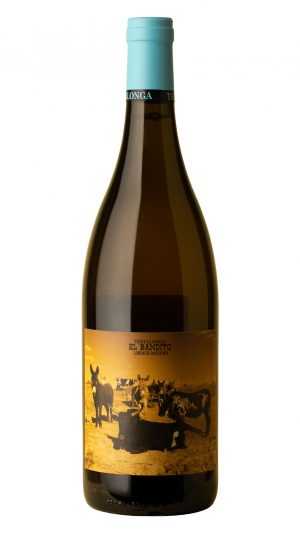 https://twdc.com.sg/wp-content/uploads/2023/09/Testalonga-Lords-of-Dogtown-Chenin-Blanc-300x533.jpg