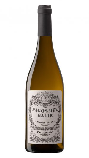 Virgen del Galir Pagos de Galir Godello 2021