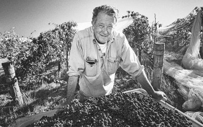 The Original Basket Rangers – Basket Range Wines